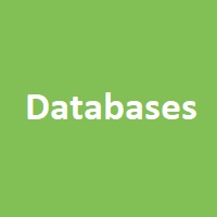 AI-Enhanced Database Management Systems